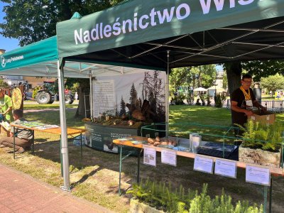 Piknik Leśny 2023